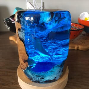 Magical Beluga Whale Epoxy Resin Lamp - EGGBOX TECH