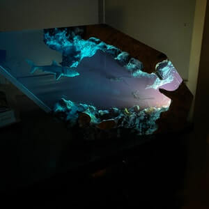 Great white shark & Couple Diver Night light - EGGBOX TECH