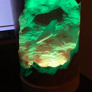 Magical Beluga Whale Epoxy Resin Lamp - EGGBOX TECH