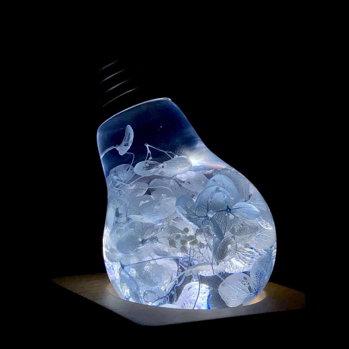 EP Light- Blue Hydrangea - EGGBOX TECH