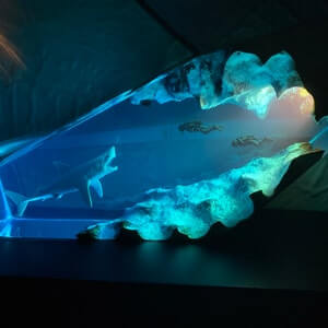 Great white shark & Couple Diver Night light - EGGBOX TECH