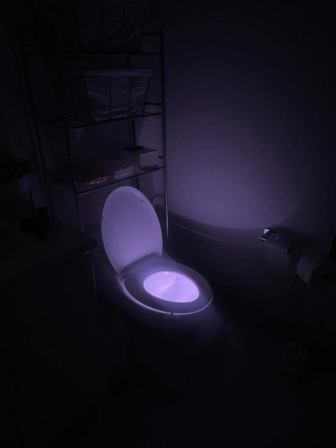 Light Up Your Bowl : Motion Sensor LED Toilet Night Lights - EGGBOX TECH