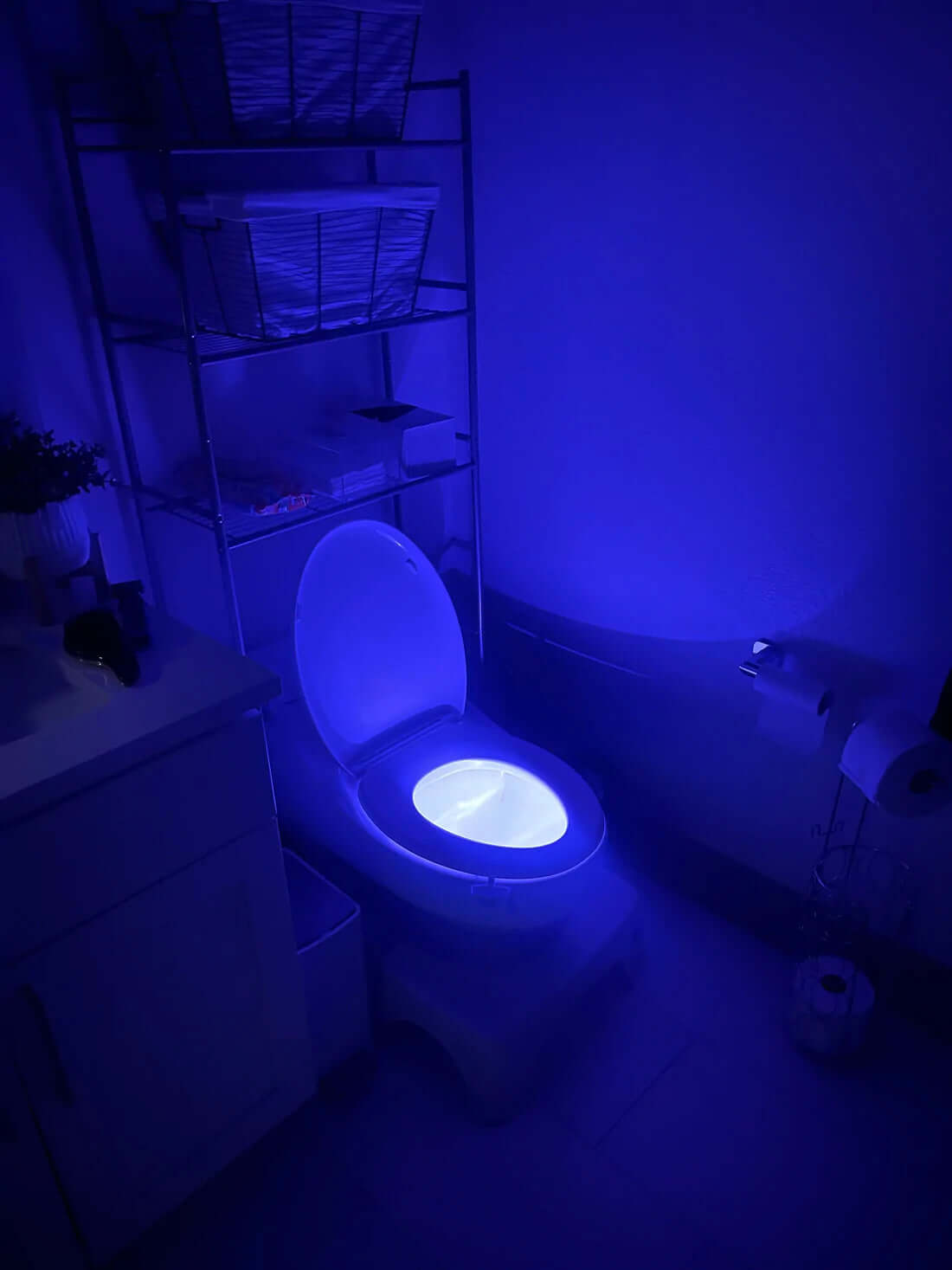 Light Up Your Bowl : Motion Sensor LED Toilet Night Lights - EGGBOX TECH