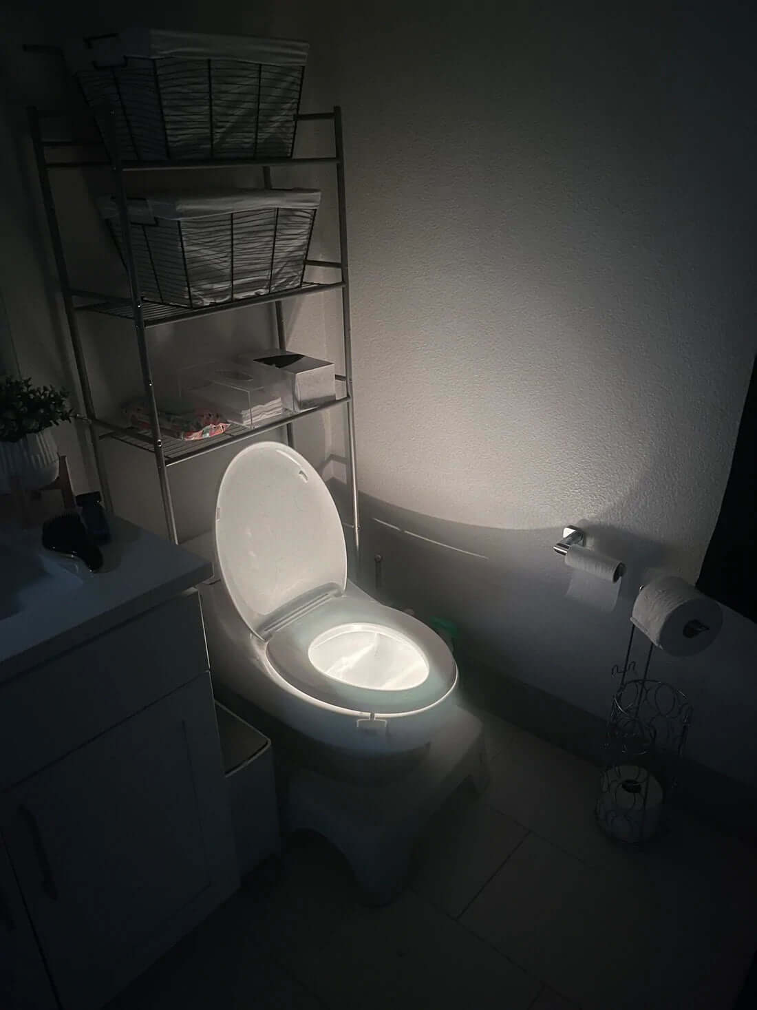 Light Up Your Bowl : Motion Sensor LED Toilet Night Lights - EGGBOX TECH