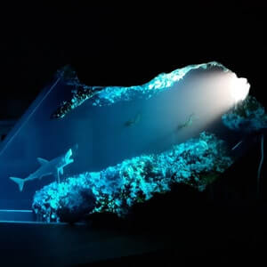 Great white shark & Couple Diver Night light - EGGBOX TECH