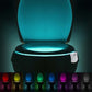 Light Up Your Bowl : Motion Sensor LED Toilet Night Lights - EGGBOX TECH